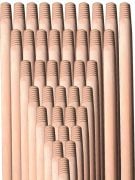 Cilasız Gürgen Sap Ekstra 120 Cm (30 Adet)