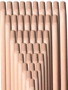 Cilasız Gürgen Sap Ekstra 120 Cm (30 Adet)