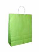 Büküm Saplı Kağıt Çanta Renkli 25x30x12 cm ( 100 Adet ) Yeşil