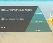 Cosmic M5 Koku Kartuşu Everest (1 Adet )