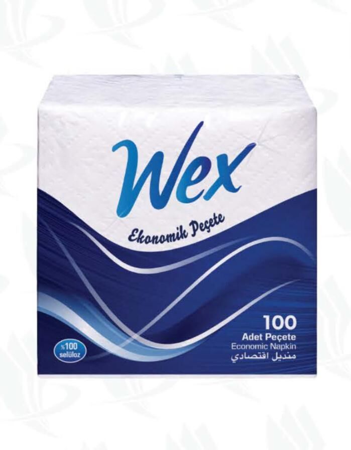 Kare Peçete 22x25 ( 100'lü )